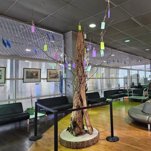 Piedmont Triad International Airport | PTI Art Spotlight – November 2025